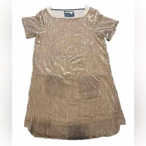 Anthropologie Floreat Champagne Crinkle Velvet Shift Tunic Style Dress Size S